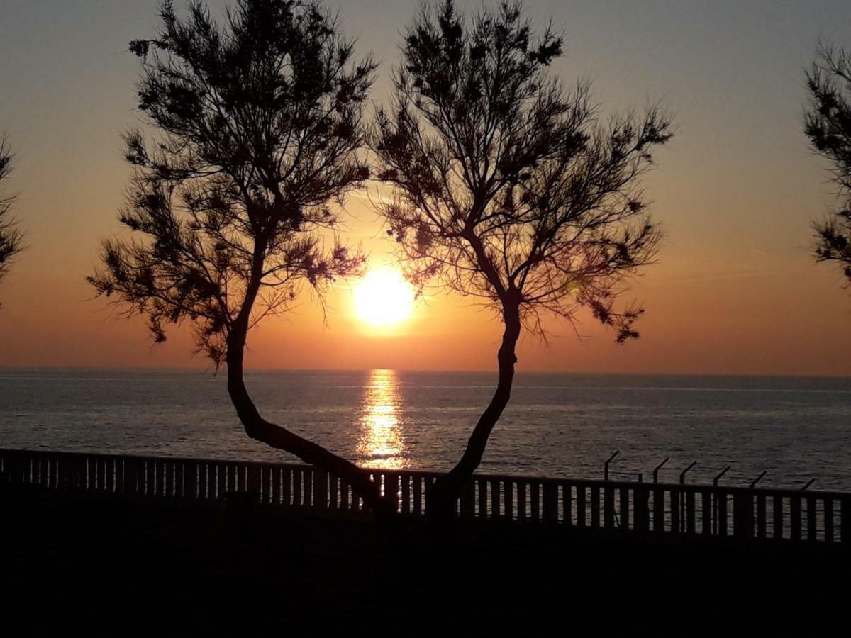 Agriturismo Le Cerbonche Rosignano Marittimo Eksteriør bilde